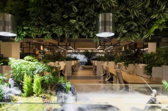 雨林景观办公室装修设计