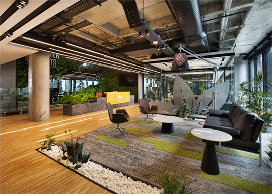 个性化办公室植物墙设计