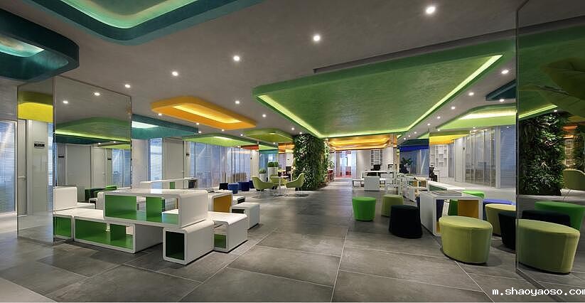 办公室旺财的六种风水植物